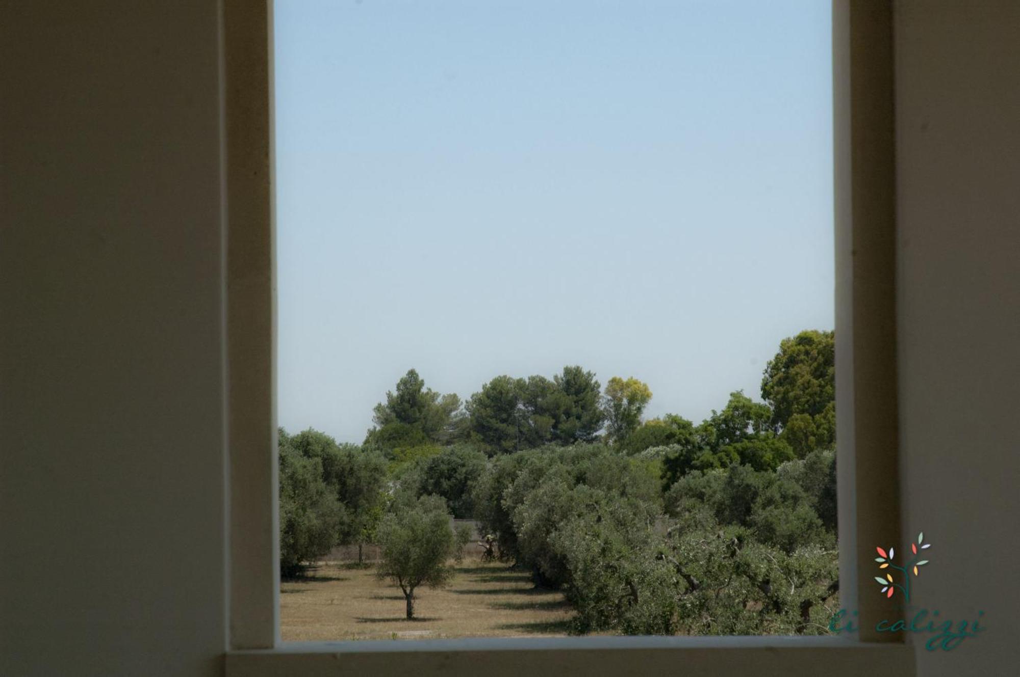 Agriturismo Li Calizzi Arte E Natura Novoli Phòng bức ảnh