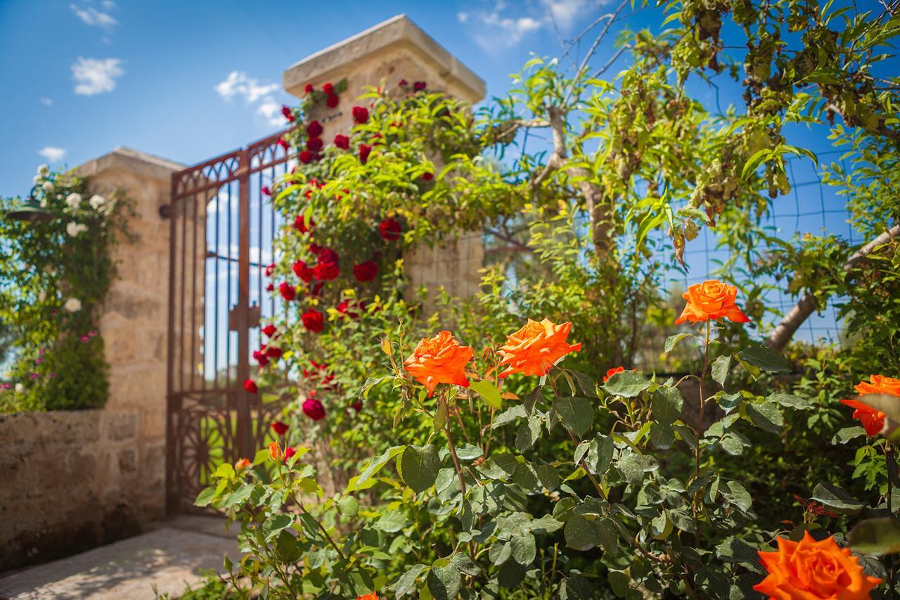 Agriturismo Li Calizzi Arte E Natura Novoli Ngoại thất bức ảnh