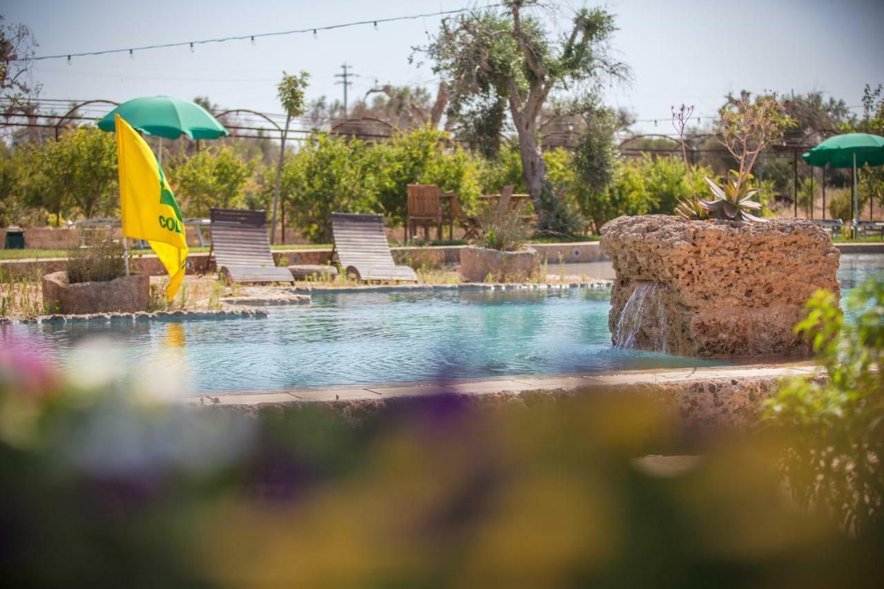 Agriturismo Li Calizzi Arte E Natura Novoli Ngoại thất bức ảnh